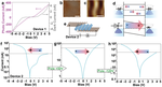 Searching for Circular Photo Galvanic Effect in Oxyhalide Perovskite Bi4NbO8Cl