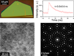 Large Single Crystal SnS2 Flakes Synthesized from Coevaporation of Sn and S