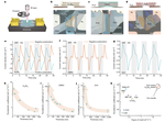 Giant pyroelectricity in nanomembranes